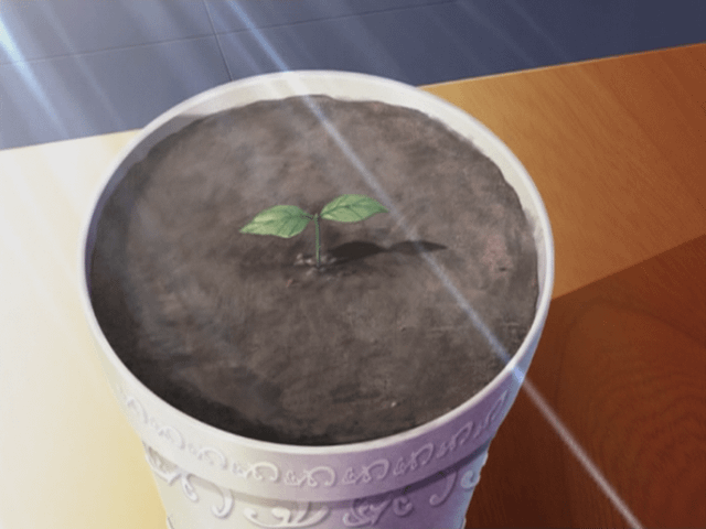 78-23-54-fr.png